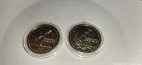 Two gold-coloured 1982 Miramichi Coin Club $1 coins in capsules, obverse fish design visible