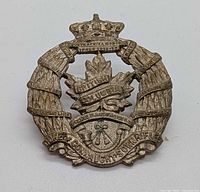 Front view of brass cap badge showing design details and wear