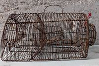 Side view of entire rusted wire trap showing overall shape and handle