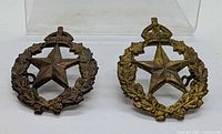 Front view of both cap badges showing design details