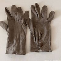 Both gloves front view showing overall condition and color