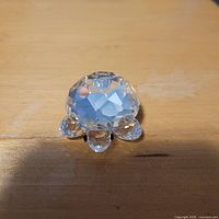 front angled view of clear Swarovski crystal turtle on wooden surface
