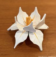Top view of carved wooden lily showing petal shape and painted details