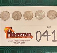 Five Morgan silver dollars aligned on card