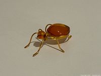 Oblique view showing amber body, head and gold-tone legs