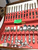 Full view of flatware set in case showing multiple utensil types