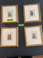 Front view of four framed botanical prints