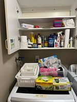 Overall view of cabinet with cleaning products and washer top with organizers and bags