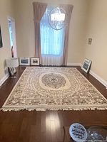Full view of rug in room