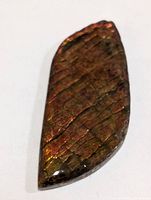 Front view of polished freeform ammolite cabochon