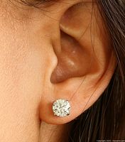 Earring worn in ear for scale and appearance