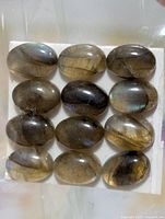 Twelve oval labradorite cabochons on white card