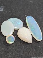 Five opal cabochons showing shape and colour play