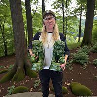 Person holding two green ceramic foo dog statues outdoors