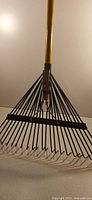 Overall view of rake showing 24 metal tines, head and portion of wooden handle