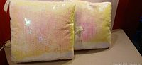 Front view of both sequin pillows