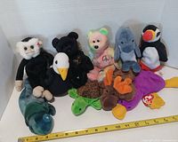 All ten Ty Beanie Babies arranged in two rows with ruler for scale