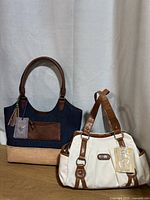 Both handbags front view