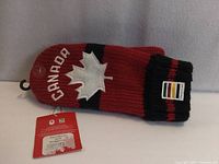 Red Hudson's Bay Canada mittens with tag attached displayed flat