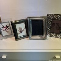 Front view showing all four frames in lot