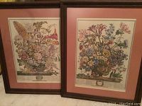Two framed botanical prints side by side, showing the full floral compositions and labels.