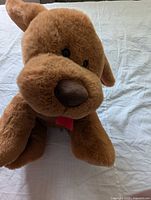 Front view of brown plush teddy bear showing muzzle, nose, eyes and ears