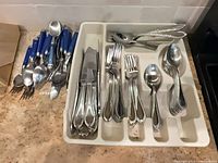 Full set in tray and blue-handled pieces grouped