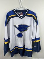 Full front view of jersey on hanger showing overall design