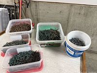 Five containers of screws and staples on table