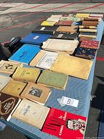 Tabletop view of entire assortment of vintage books