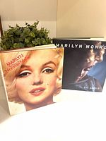 Front view of both hardcover books standing upright