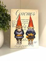 Front dust jacket showing title and gnome illustrations