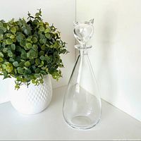 Full view of decanter beside plant