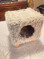 Front view showing circular entrance and faux fur covering