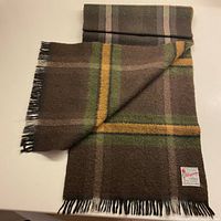 Full view of unfolded scarf showing color pattern and fringe