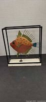 Front view of shadowbox with mounted fish sculpture