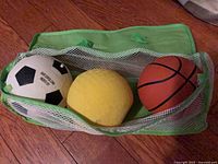 All three balls inside green mesh zip bag