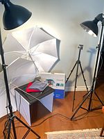 Overall view showing two Westcott lamps on stands, two umbrellas, Slik tripod, light box and backdrops