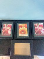 Front view of three frames with stock floral inserts plus a fourth empty frame