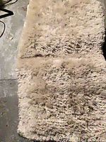 Full view of shag rug mat showing overall size and pile texture