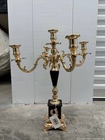 Front view of five-arm candelabrum showing arms, center cup, black column, square footed base