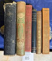 Spine view of all six books showing titles and decorative designs