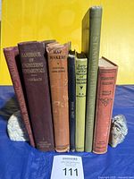 Books standing upright showing spines