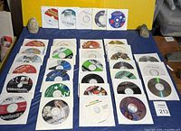 Full overhead view of approximately 29 CD-ROM discs in sleeves