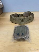 Belt and sealed pouch overview