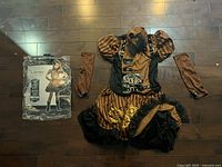 Full lot: dress, collar, arm warmers, packaging