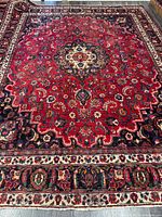 Full view of rug showing overall pattern and borders