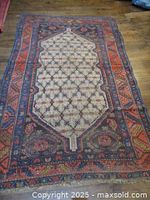 Full view of rug showing overall pattern and colors