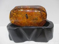 Amber specimen on wooden stand, front view