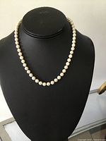 Necklace displayed on bust showing full strand of pearls